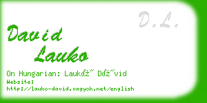 david lauko business card